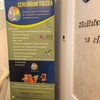 Clinica CEREBRIUM